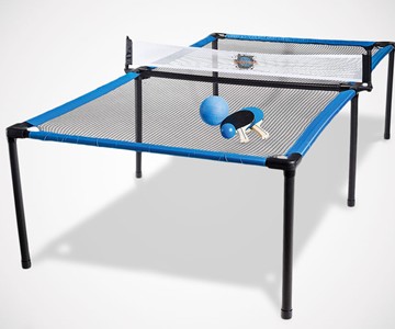 SpyderPong SpyderPong