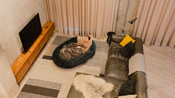 Plufl: The Dog Bed for Humans Plufl: The Dog Bed for Humans