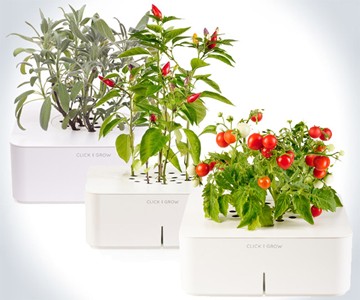 Click & Grow SmartPot Plants Click & Grow SmartPot Plants