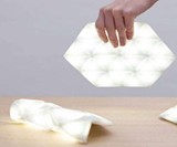 Kangaroo Light