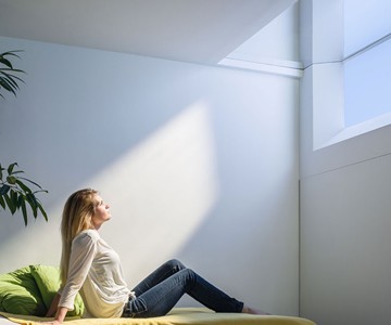 CoeLux Artificial Skylights