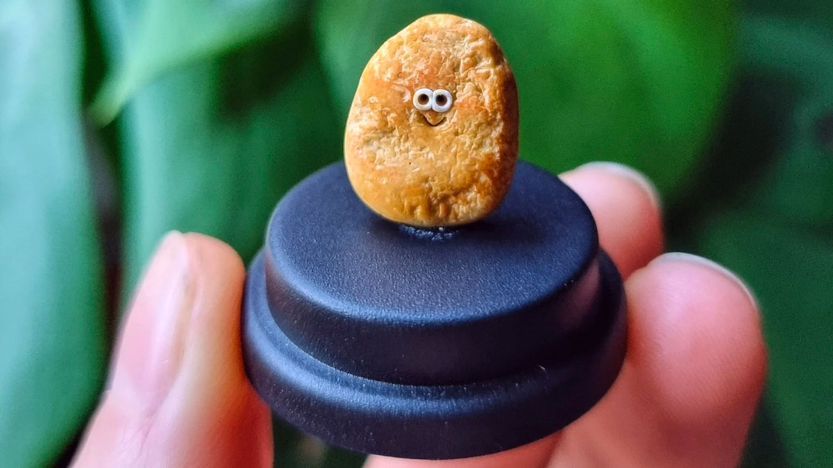 The Pet Nugget The Pet Nugget