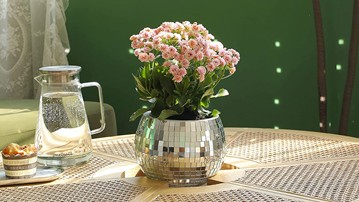 Festive: Hanging Disco Ball Planter Festive: Hanging Disco Ball Planter