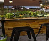 Plant A Bar