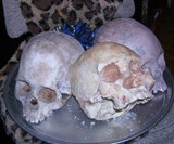 Human Skull Chocolates on Platter
