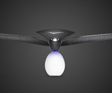 Bionic Bird: The Furtive Drone