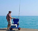 Folding Beach Chair & Roller Cart