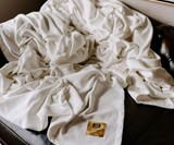 Big Blanket Co. - The Biggest Blanket Ever