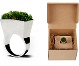 Grass Ring Packaging