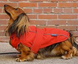 Django City Slicker Water-Repellent Dog Raincoat