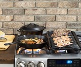 Lodge Cast Iron Reversible Grill
