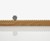 Monthly Measure Perpetual Calendar & Ruler