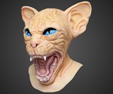 Sphinx