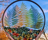 Preserved Botanicals Hanging Terrariums