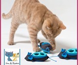 Indoor Hunting Cat Feeder