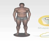 ShapeScale 3D Body Scanner