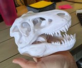 T-Rex Tape Dispenser