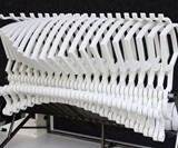 Bussola Mechanical Skeletel Sculpture