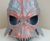 Enviroskulls