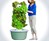 Tower Garden Growing System Tower Garden Growing System