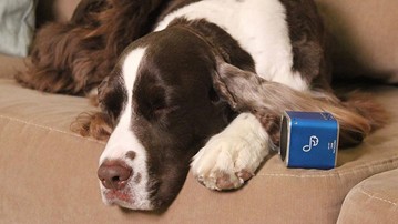 Pet Tunes Speaker with Calming Canine Music