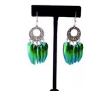 Beetle Wing Jewelry