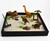 Dinosaur Zen Garden Dinosaur Zen Garden