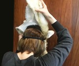 Become Your Cat Mask