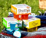 Party Ready Jello Shots