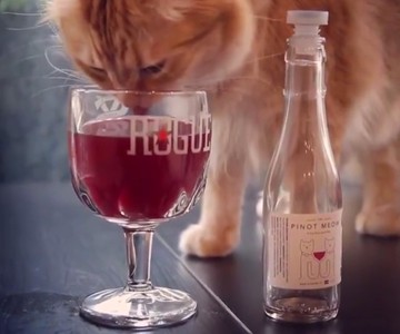Apollo Peak Cat Wine Apollo Peak Cat Wine