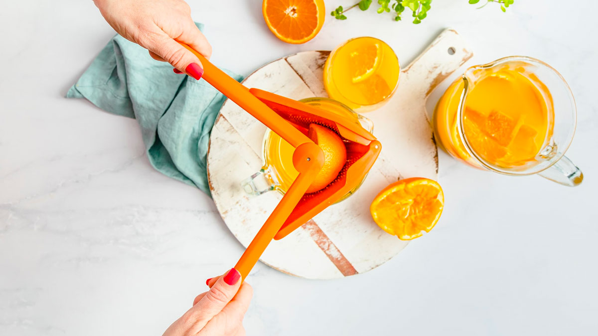 Fluicer Fold-Flat Juicer Fluicer Fold-Flat Juicer