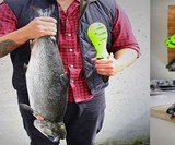 Kombo Fish Tool