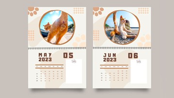 Cat Balls Calendar Cat Balls Calendar