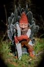 Game of Gnomes: Throne of a Thousand Shovels