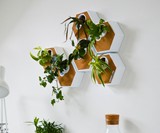 Noku Canvas Modular, Self-Watering Planter