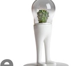 Domsai Terrariums-8885