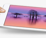 32 GB iPad Mini with Retina Display