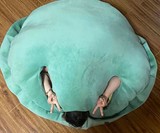 Wearable Turtle Shell Pillow