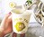 Halo Top Eat-the-Whole-Pint Healthy Ice Cream Halo Top Eat-the-Whole-Pint Healthy Ice Cream