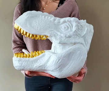 Enviroskulls Enviroskulls
