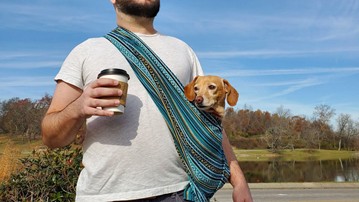 Walking Palm Dog Sling