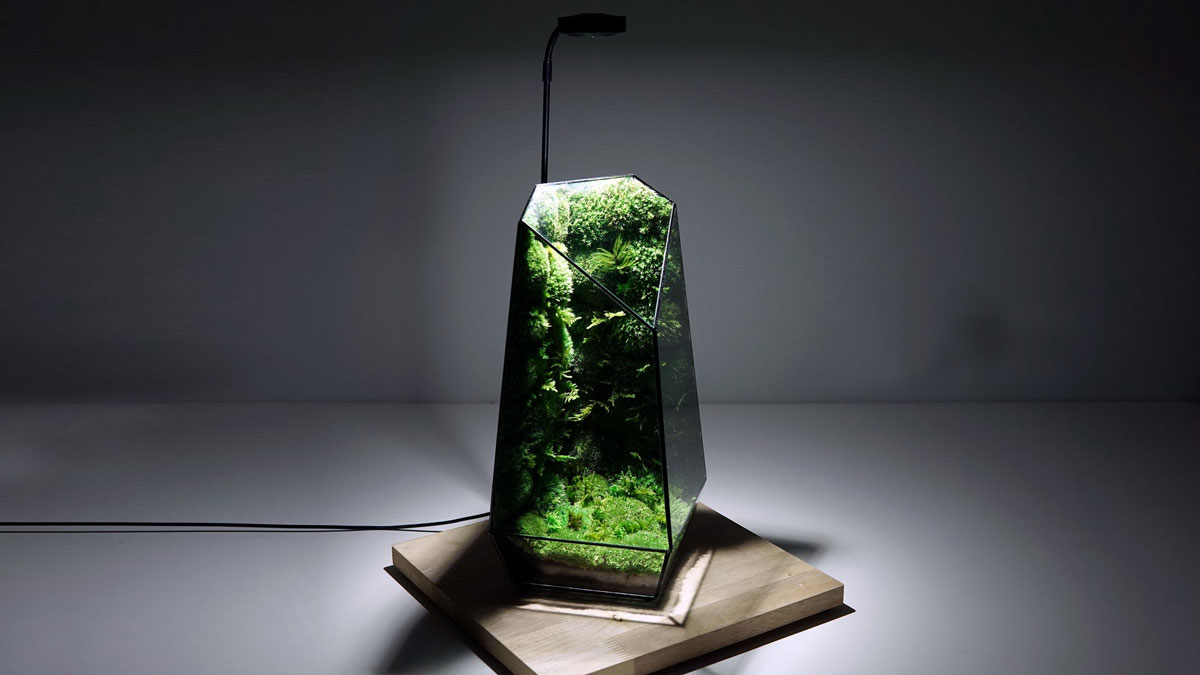 TerraLiving Preserved Moss Terrariums TerraLiving Preserved Moss Terrariums