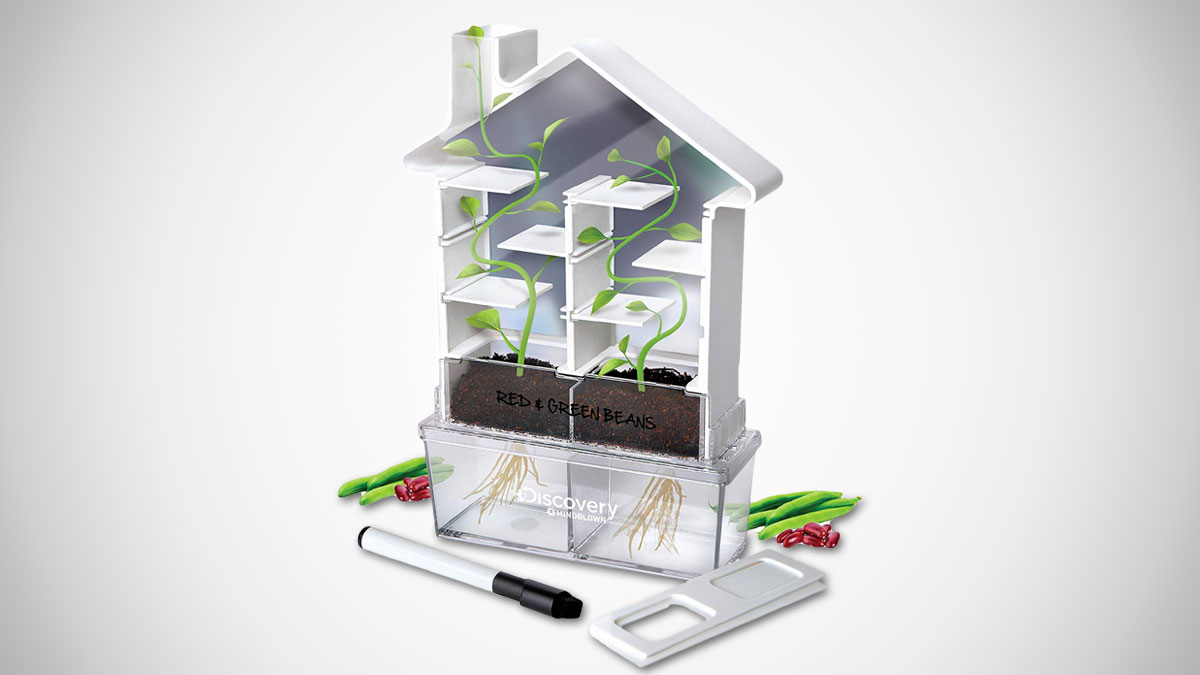 Maze Planter DIY Build & Grow Botany Kit Maze Planter DIY Build & Grow Botany Kit