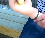 The Cob Quicky