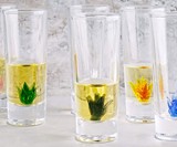 Agave Tequila Decanter Set & Glasses