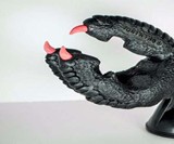 The Phone Claw