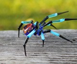 Glass Symphony Glass-Blown Spiders