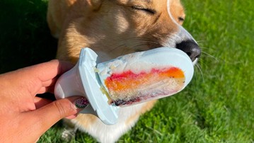 16 of the Most Paw-Pular Dog Gifts for 2023 16 of the Most Paw-Pular Dog Gifts for 2023
