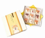Shiba Inu Dog Marshmallows
