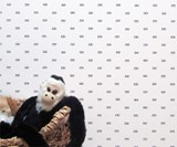 I See You Wallpaper